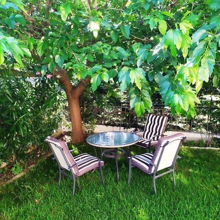 House With Garden Netflix Villa Nea Kerasia Dış mekan fotoğraf