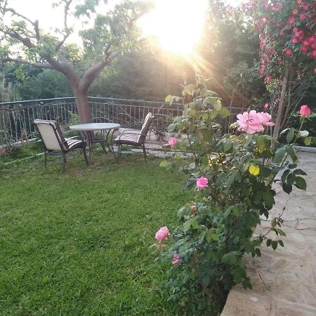 House With Garden Netflix Villa Nea Kerasia Dış mekan fotoğraf