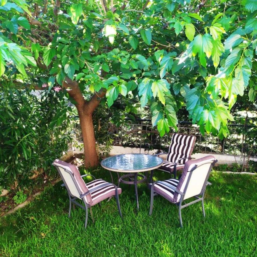 House With Garden Netflix Villa Nea Kerasia Dış mekan fotoğraf