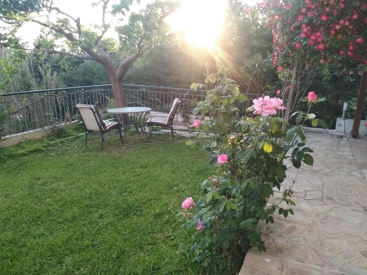 House With Garden Netflix Villa Nea Kerasia Dış mekan fotoğraf